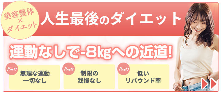 ダイエットメニュー